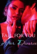 Fall for You After Divorce by Callie Novel By Noveljar