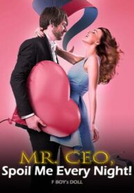 Mr. CEO, Spoil Me Every Night! By F BOY’s DOLL