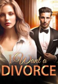 I Want a Divorce by Abigail Quinn Novel