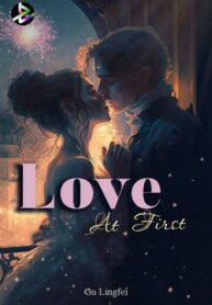 love-at-first-novel-by-gu-lingfei