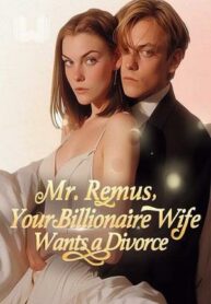 mr-remus-your-billionaire-wife-wants-a-divorce